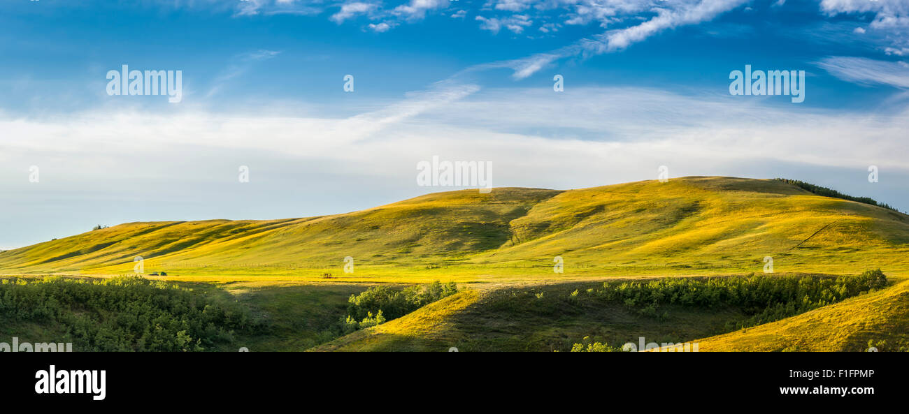 Vue panoramique sur les fermes. Banque D'Images