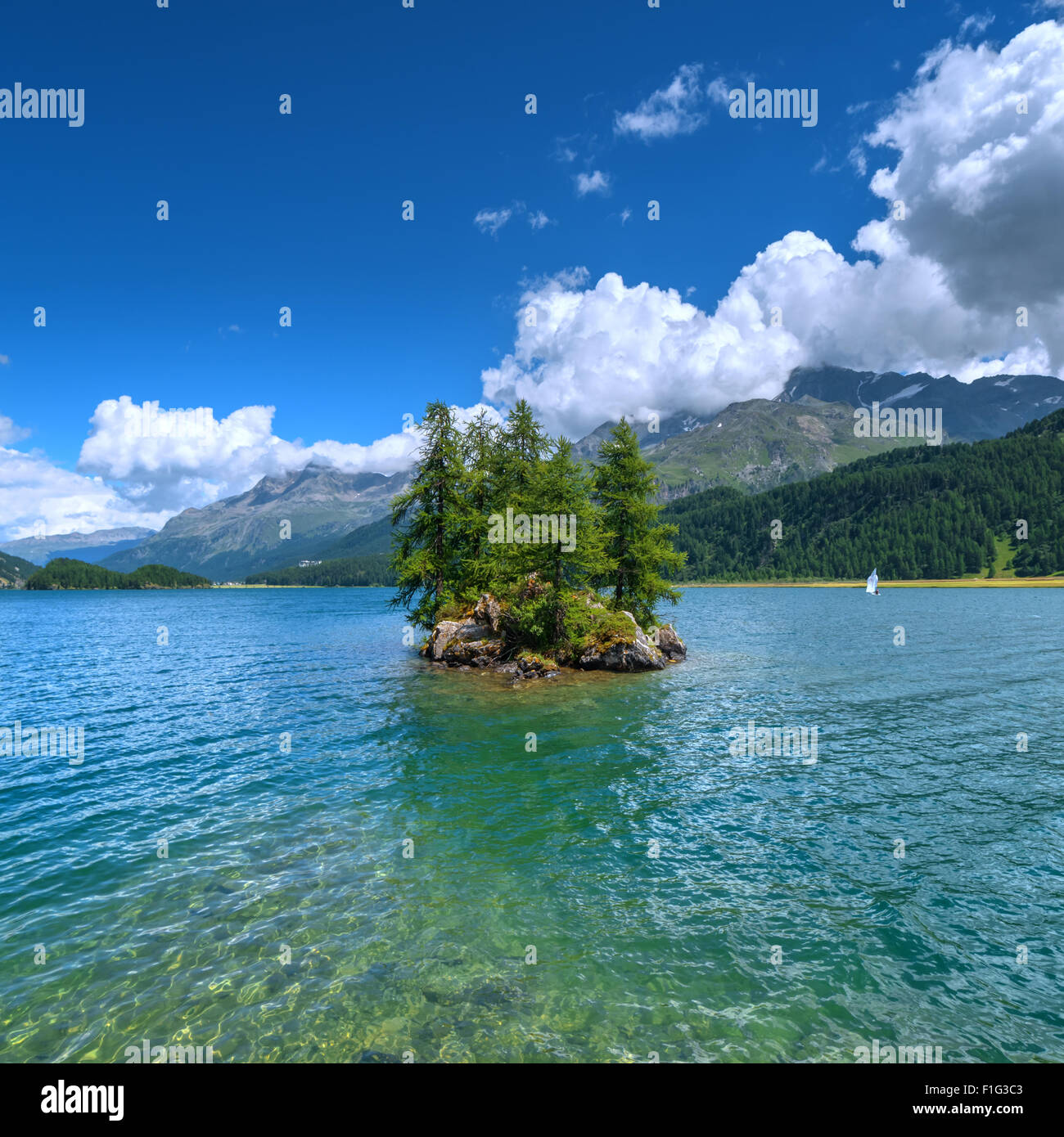 Incroyable journée ensoleillée au lac Silsersee dans les Alpes suisses. Segl, Suisse, Europe. Banque D'Images