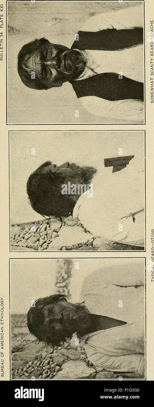 Ce travail de 1908 documente les pratiques physiologiques et médicales des peuples autochtones dans le sud-ouest des États-Unis et le nord du Mexique, fournissant des informations importantes sur les pratiques de santé traditionnelles et les connaissances médicales régionales. Banque D'Images