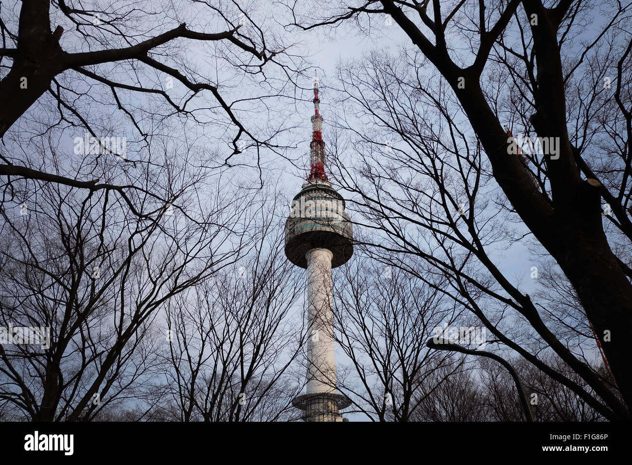 N Séoul tour d'oeil à travers les arbres Banque D'Images