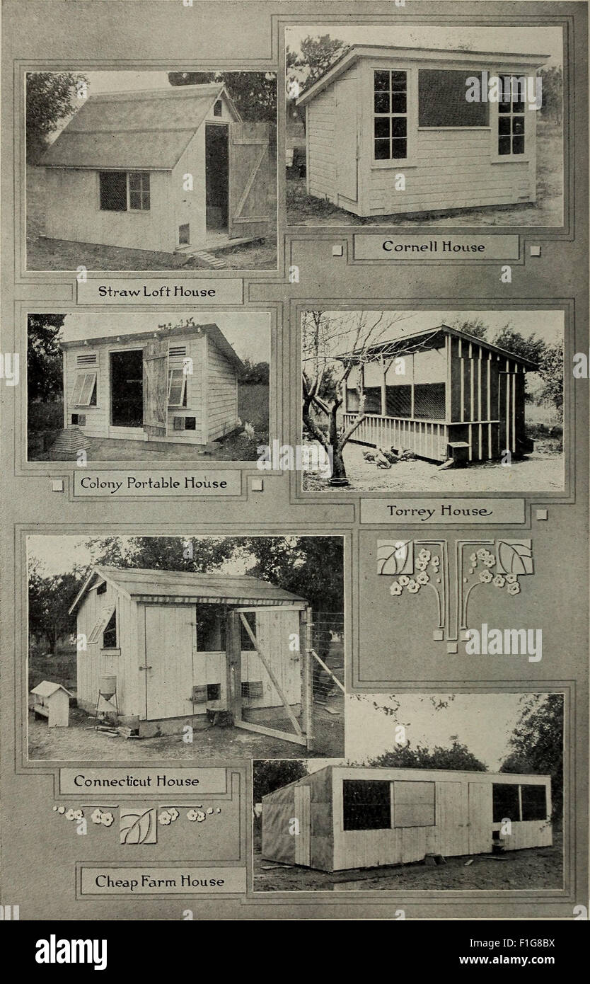 Cette publication de 1914 traite des opérations de la Missouri State Poultry Experiment Station à Mountain Grove, mettant en évidence les progrès réalisés dans l'élevage de volailles et le potentiel de croissance de l'industrie dans le Missouri. Banque D'Images
