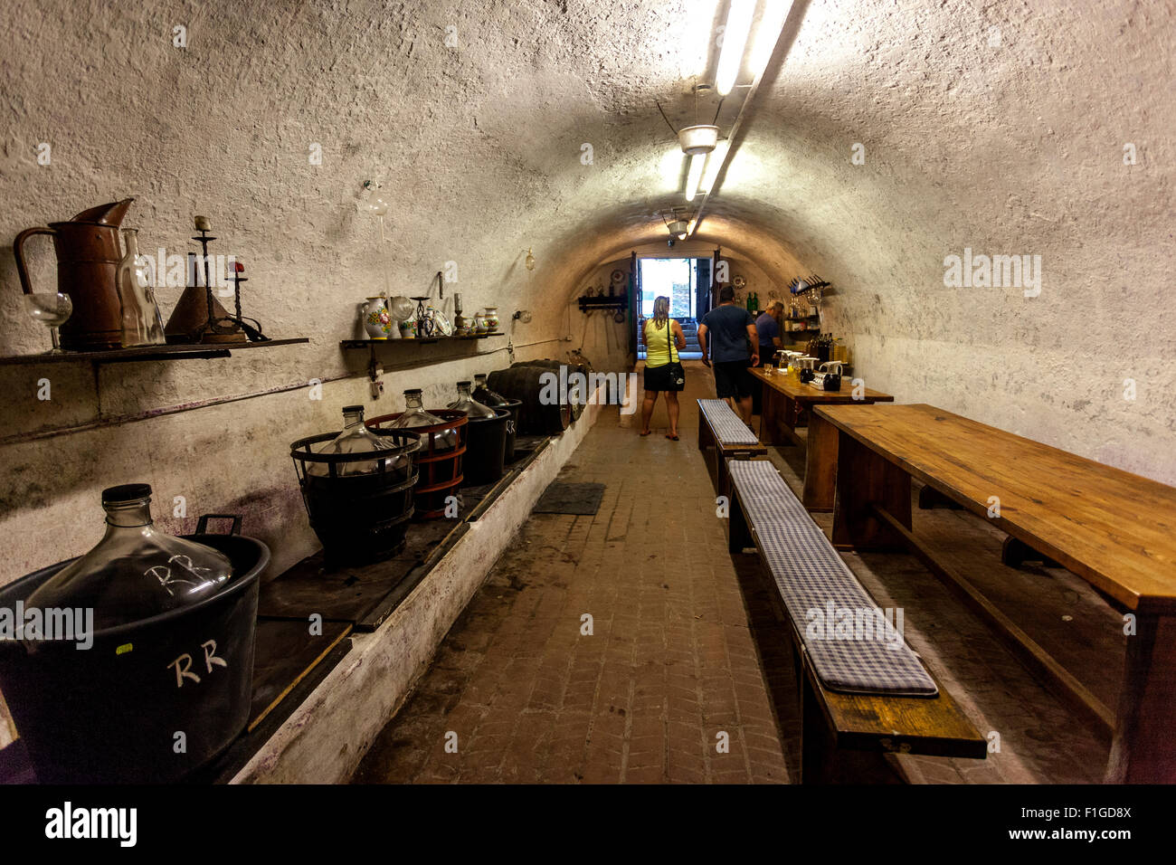 Cave à vin à l'intérieur, Petrov Plze, près de Straznice, région viticole, Slovacko Moravie du Sud, République Tchèque Banque D'Images