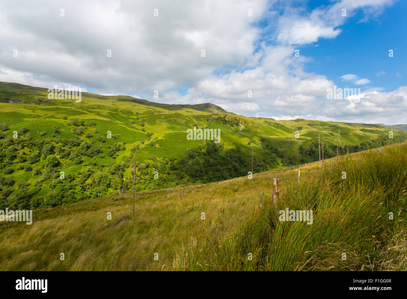 Shira Glen Loch Fyne ci-dessus Banque D'Images