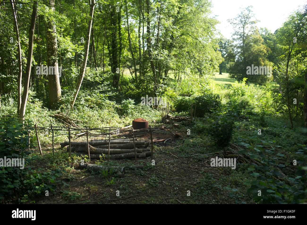 Köhler Banque D'Images