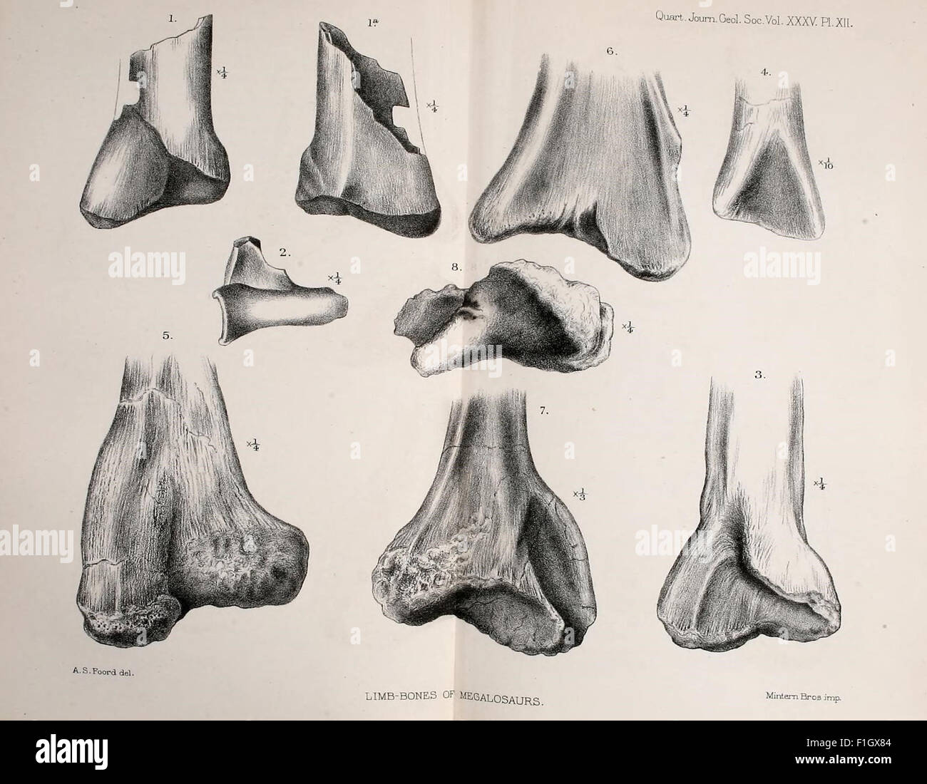 The Quarterly Journal of the Geological Society of London est une publication périodique qui présente des recherches et des découvertes liées à la géologie, aux sciences de la Terre et aux études géologiques. Il comprend des articles sur les formations rocheuses, la minéralogie et la recherche géophysique. Banque D'Images