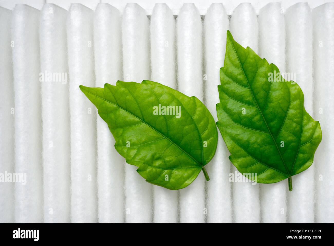La pureté de l'image conceptuelle avec feuilles vert frais blanc sur la surface du filtre à air Banque D'Images La pureté de l'image conceptuelle avec feuilles vert frais blanc sur la surface du filtre à air Banque D'Images