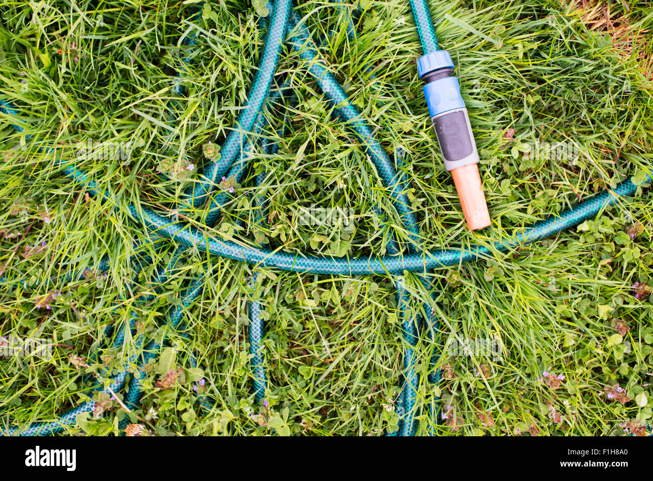 Vue de dessus du tuyau de jardin en plastique allongé sur l'herbe verte. Banque D'Images