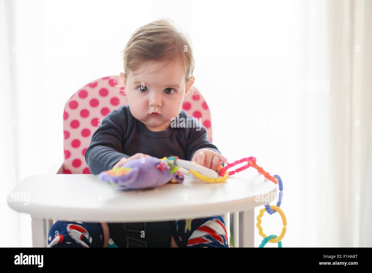 Six (6) mois, petite fille en chaise haute avec toy Banque D'Images