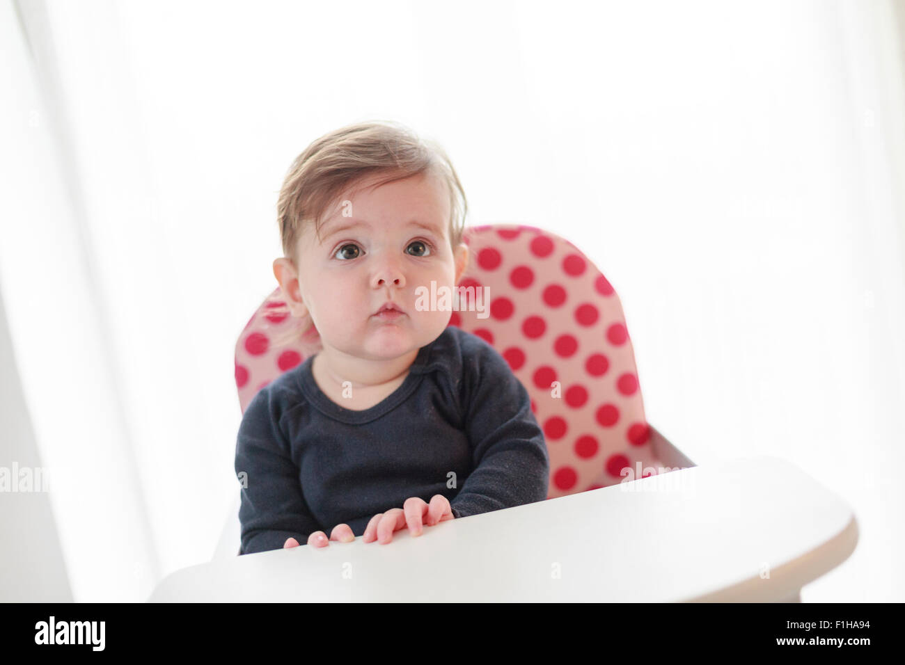 Six (6) mois dans une chaise haute bébé fille Banque D'Images