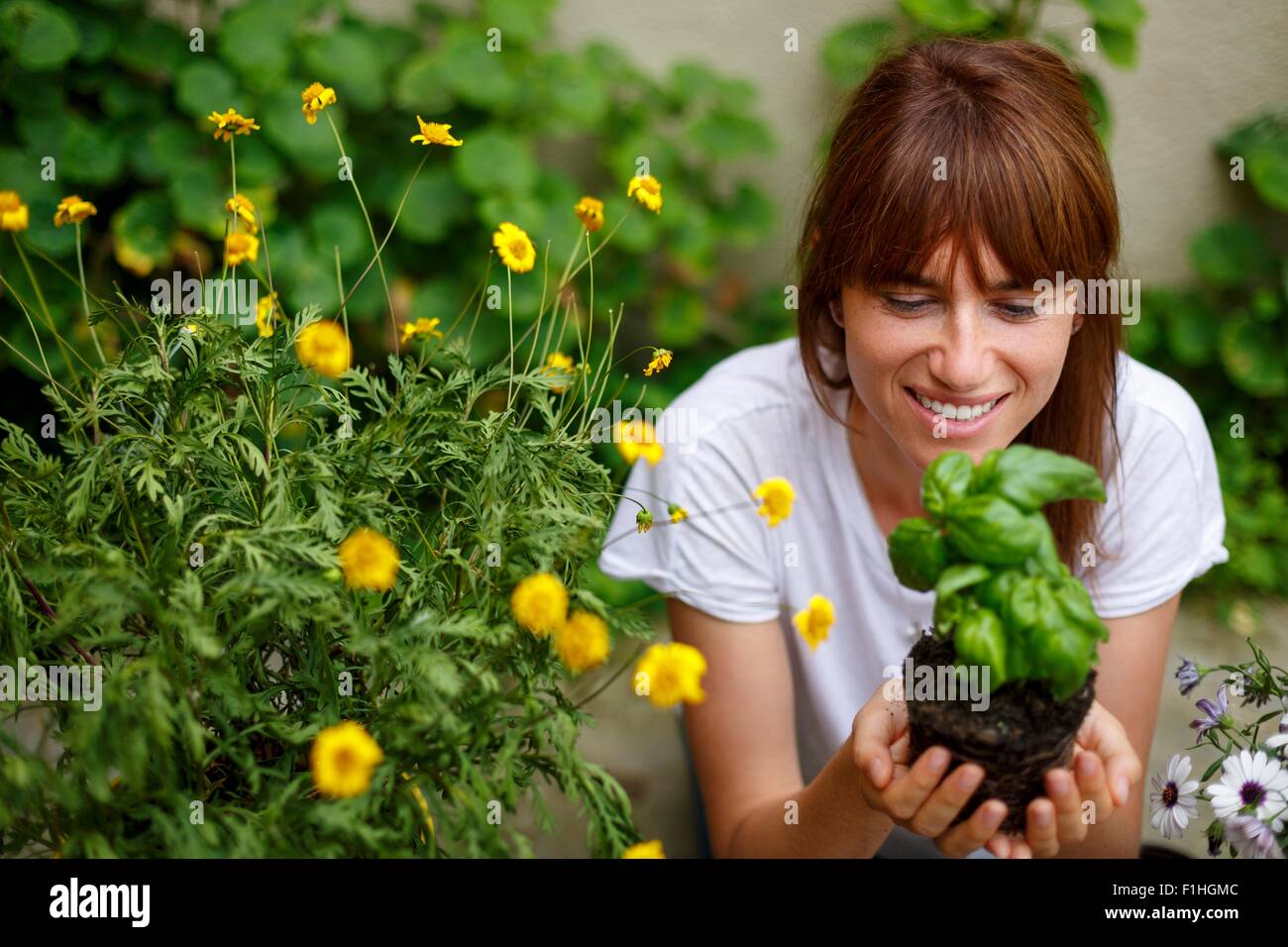 High angle view of mid adult woman holding plant de basilic au creux des mains Banque D'Images