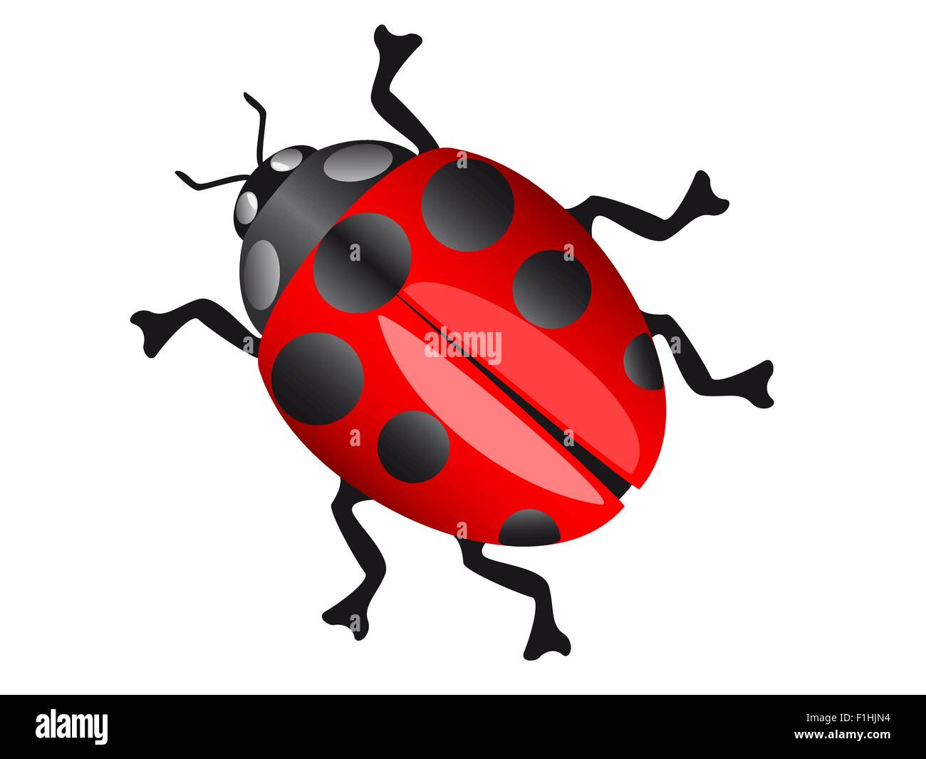 Coccinelles - fiches à imprimer - Maman des fauves