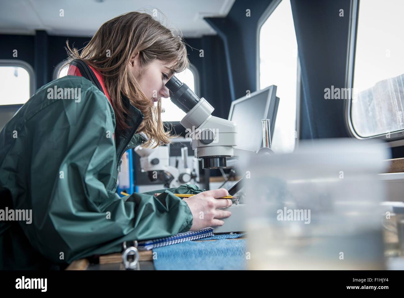 Female scientist inspection échantillon de plancton avec microscope sur navire de recherche Banque D'Images