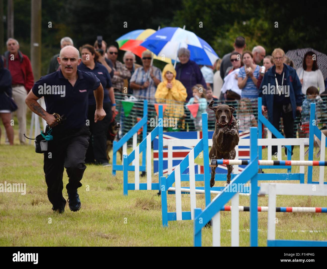 Paws for Thought chien display team en action à un Hampshire country fair. Banque D'Images