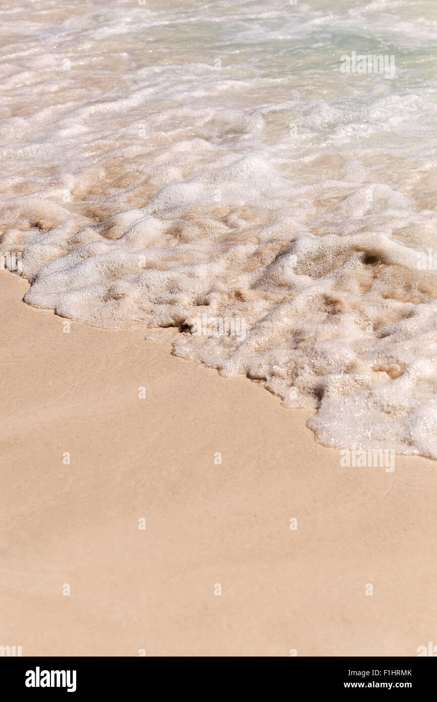 Les vagues de la mer avec de la mousse sur une plage de sable blanc. Fond copyspace libre Banque D'Images Les vagues de la mer avec de la mousse sur une plage de sable blanc. Fond copyspace libre Banque D'Images