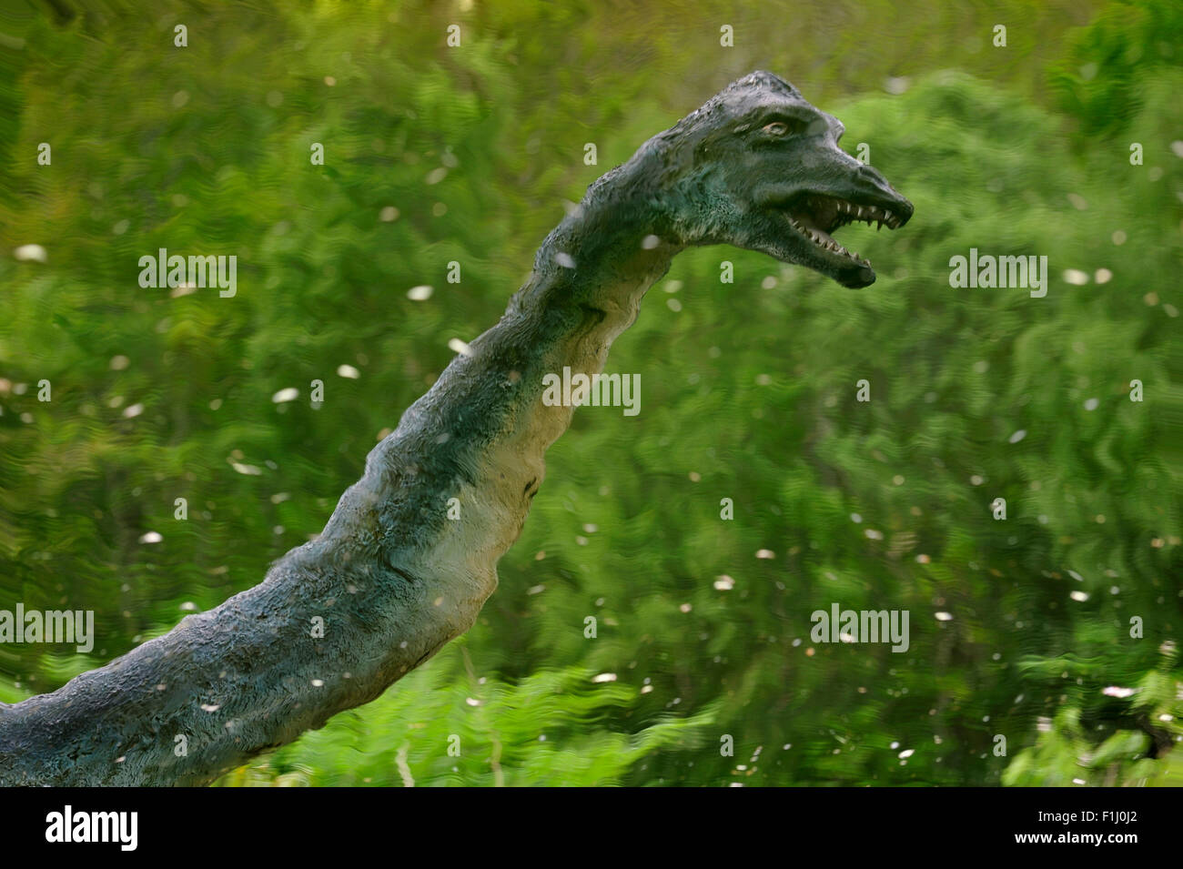 reflet-dans-l-tang-de-nessie-le-monstre-du-loch-ness-l-ext-rieur