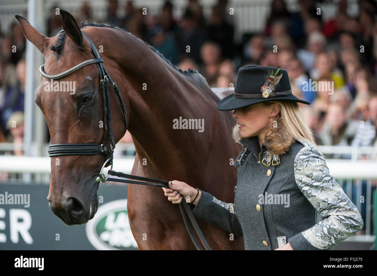 Stamford, Lincs, Royaume-Uni. 2 Septembre, 2015. Dee Hankey (GBR) présente Chequers Playboy [# 6] lors de la première inspection vétérinaire. La Land Rover Burghley Horse Trials 2015 Crédit : Stephen Bartholomew/Alamy Live News Banque D'Images