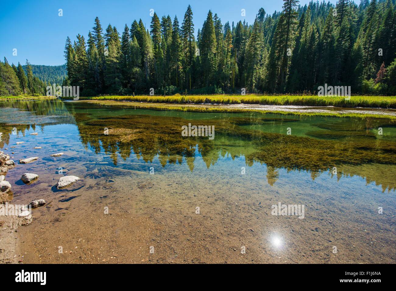 Paysages d'été de la rivière Truckee près du lac Tahoe, en Californie, USA. Banque D'Images