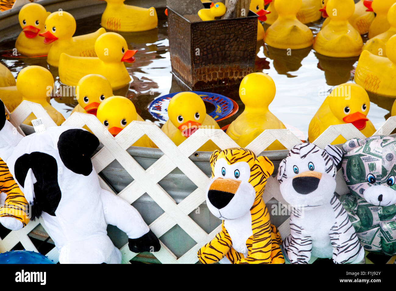 Canetons jouet en peluche et des prix dans un jeu d'adresse à la foire, nous, 2015. Banque D'Images