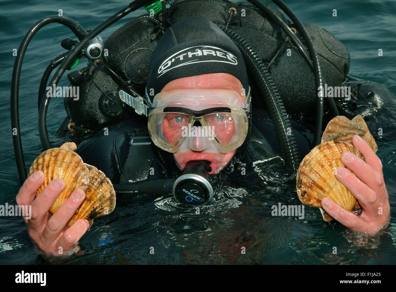 Pêcheur de pétoncles,John Worswick,qui plonge pour les mollusques au large de West Bay,Dorset,UK,où ils sont vendus pour la nourriture.Une mer de fruits de mer au Royaume-Uni Banque D'Images