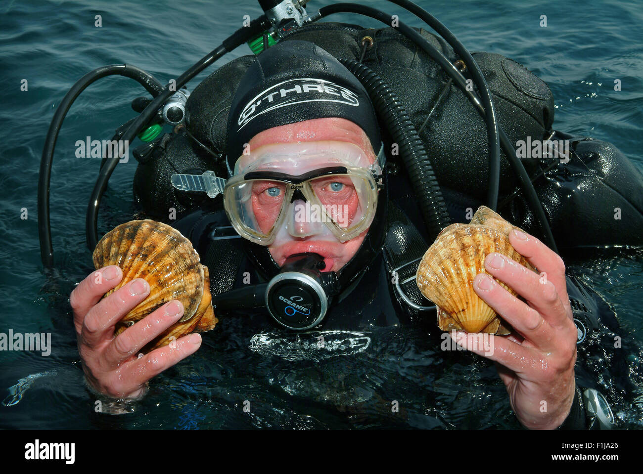 Pêcheur de pétoncles,John Worswick,qui plonge pour les mollusques au large de West Bay,Dorset,UK,où ils sont vendus pour la nourriture.Une mer de fruits de mer au Royaume-Uni Banque D'Images
