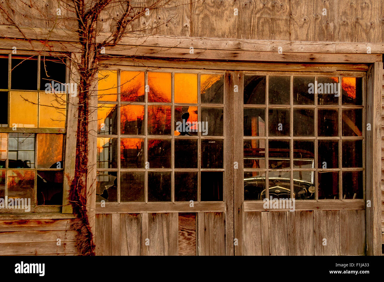 Concessionnaire automobile résisté au coucher du soleil, avec les anciens modèles de Ford à l'intérieur. Banque D'Images