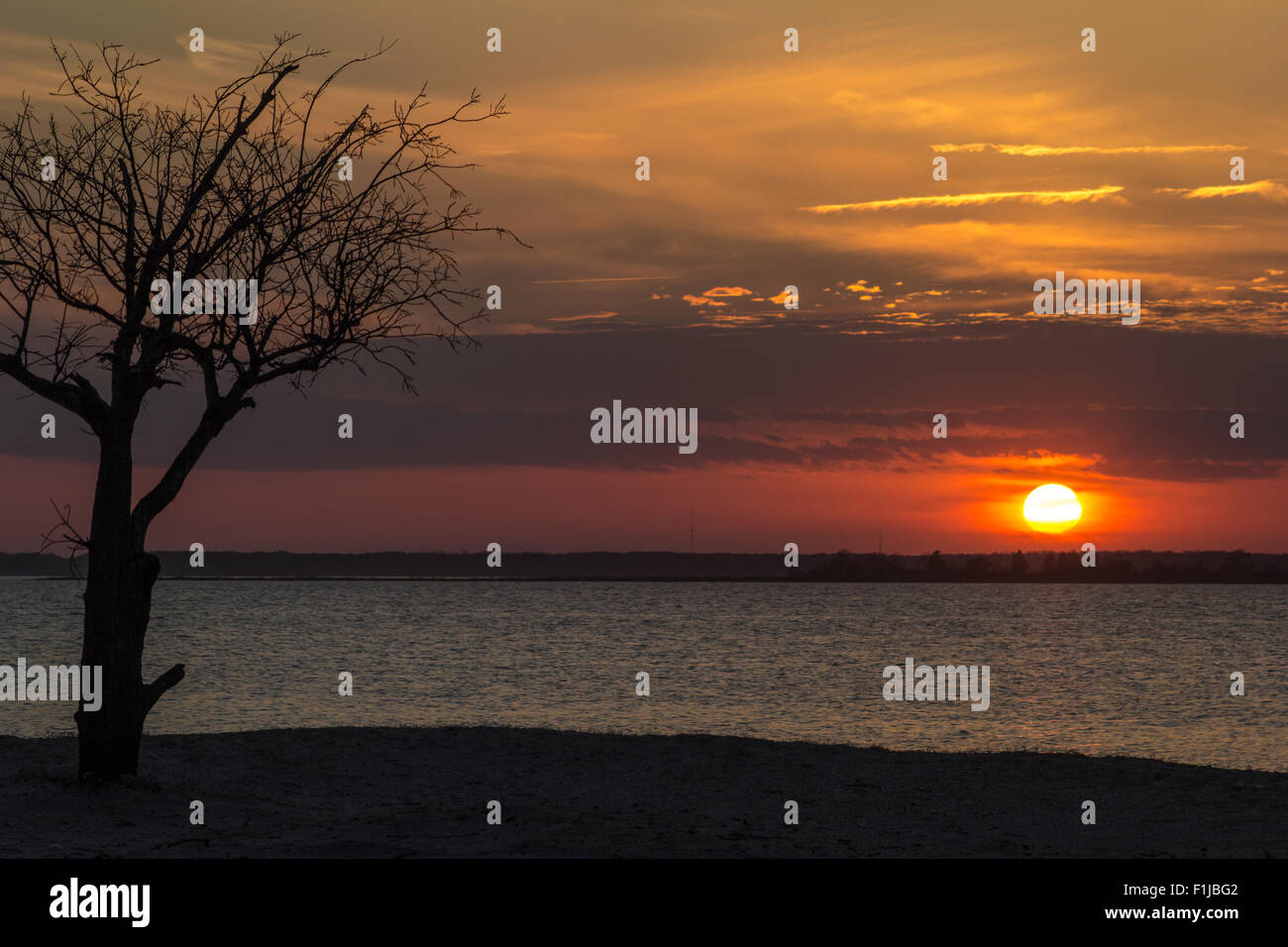 Coucher de soleil sur la baie de Sinepuxent Assateague Island Banque D'Images
