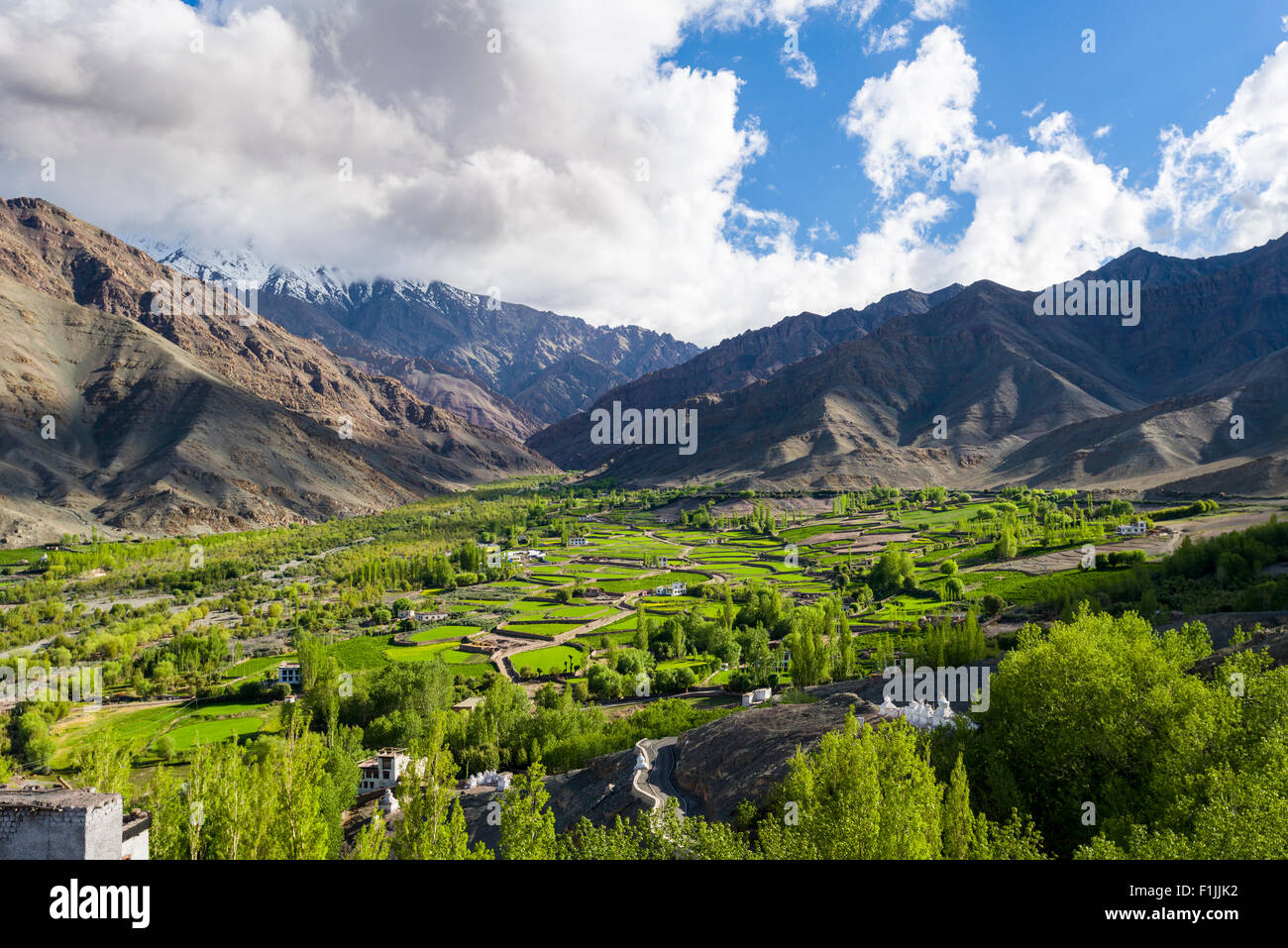 Vue aérienne de champs verts et de maisons de ferme dans une petite vallée au-dessus de la vallée de l'Indus, Mâtho, le Jammu-et-Cachemire, l'Inde Banque D'Images