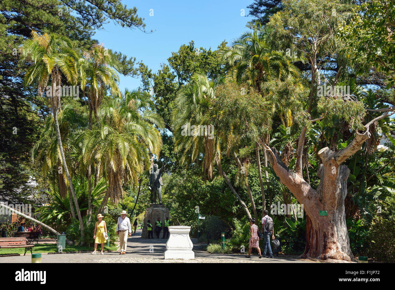 Le Jardin Public, le jardin de la compagnie, Cape Town, Western Cape Province, République d'Afrique du Sud Banque D'Images