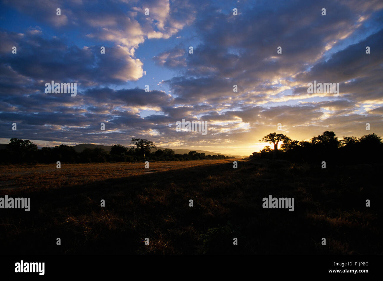 Coucher de soleil sur l'atterrissage à l'aéroport de rural, du lac Kariba au Zimbabwe, l'Afrique Banque D'Images