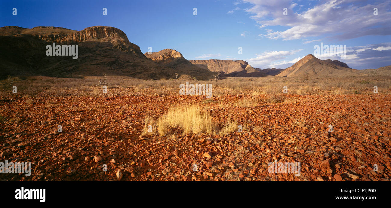 Sommaire des paysage, la Namibie, l'Afrique Banque D'Images