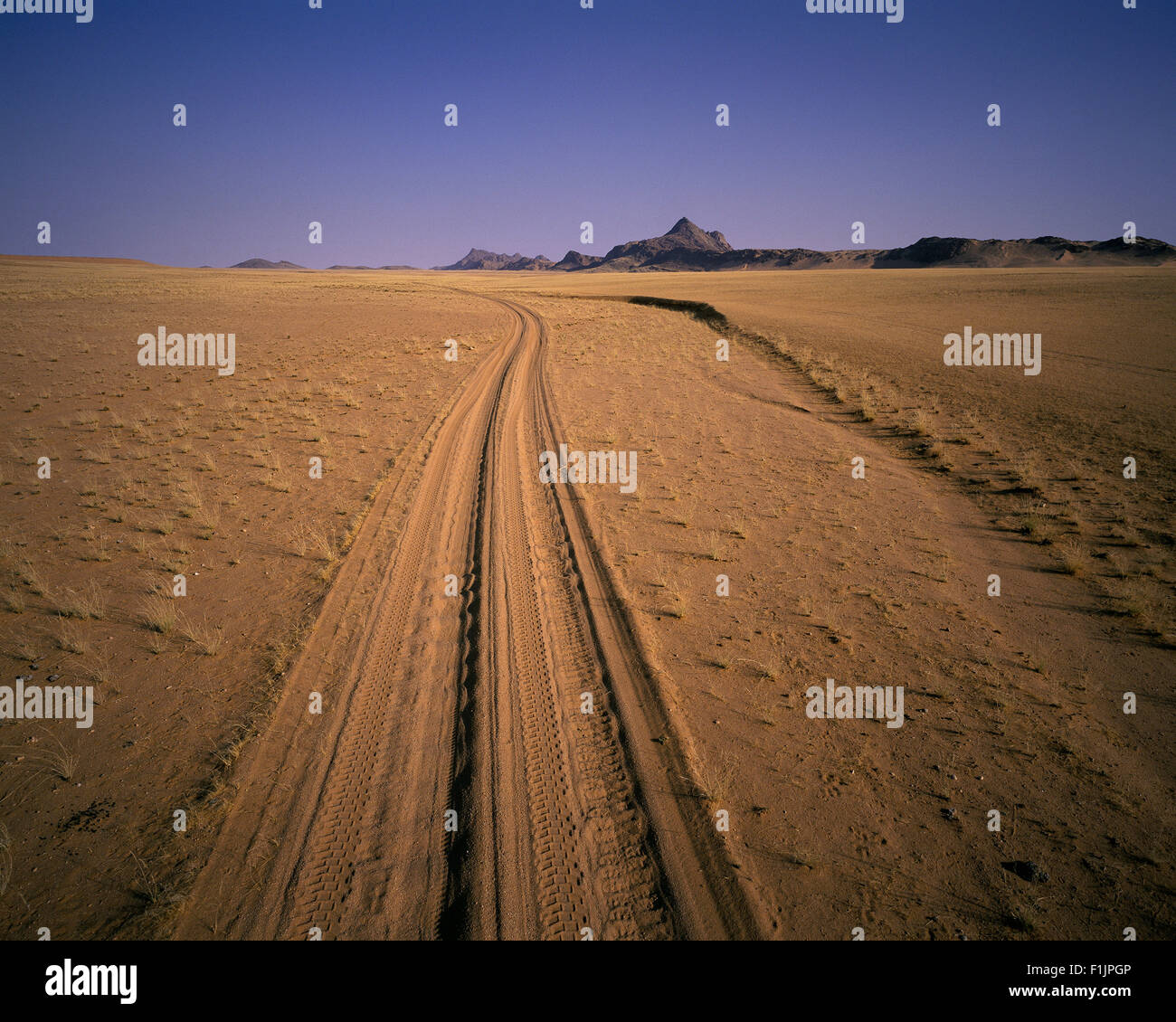 Les traces de pneus dans le sable Skeleton Coast, Namibie, Afrique Banque D'Images
