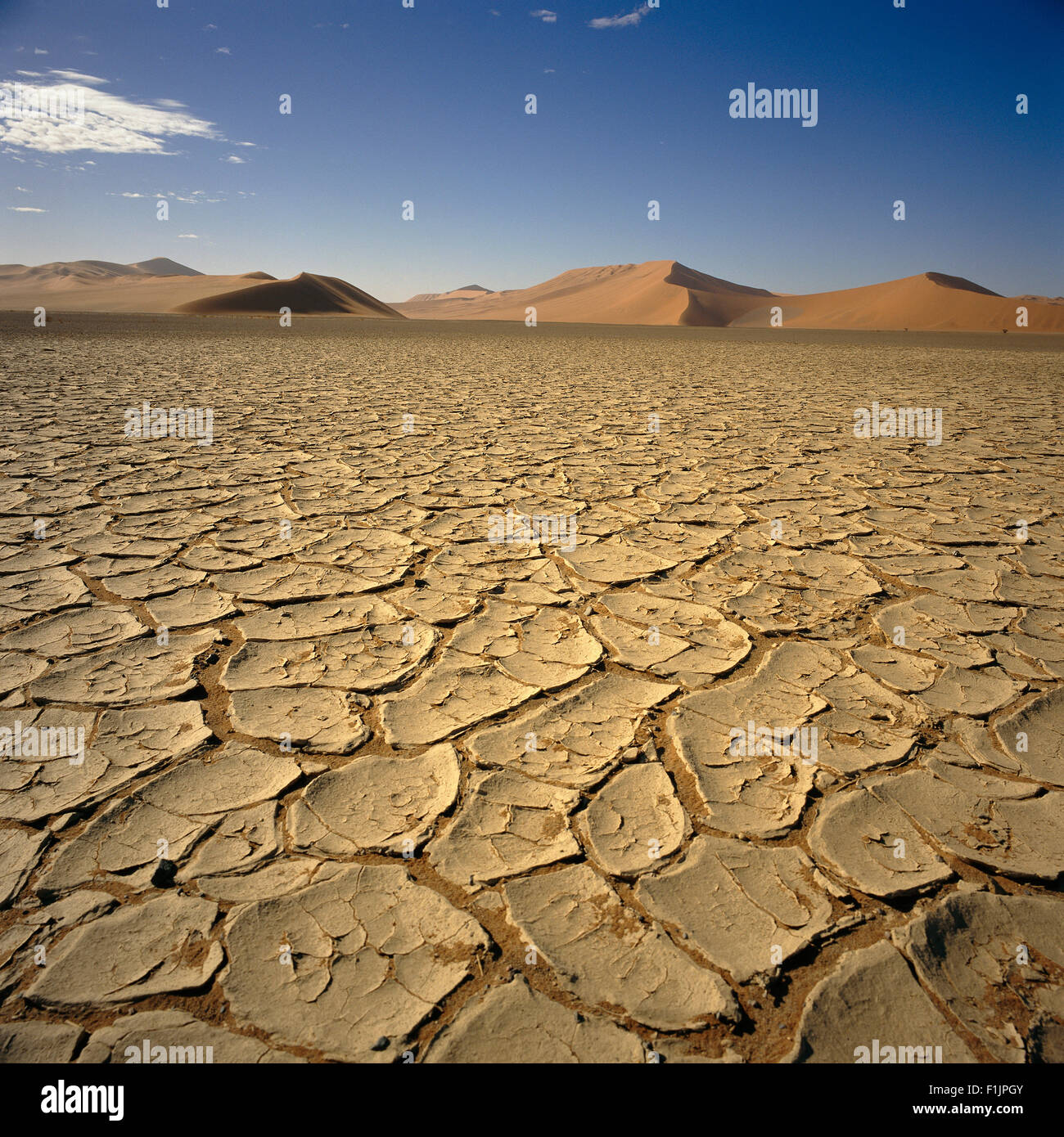 La terre craquelée dans désert Sossusvlei, Désert du Namib, Namibie, Afrique Banque D'Images