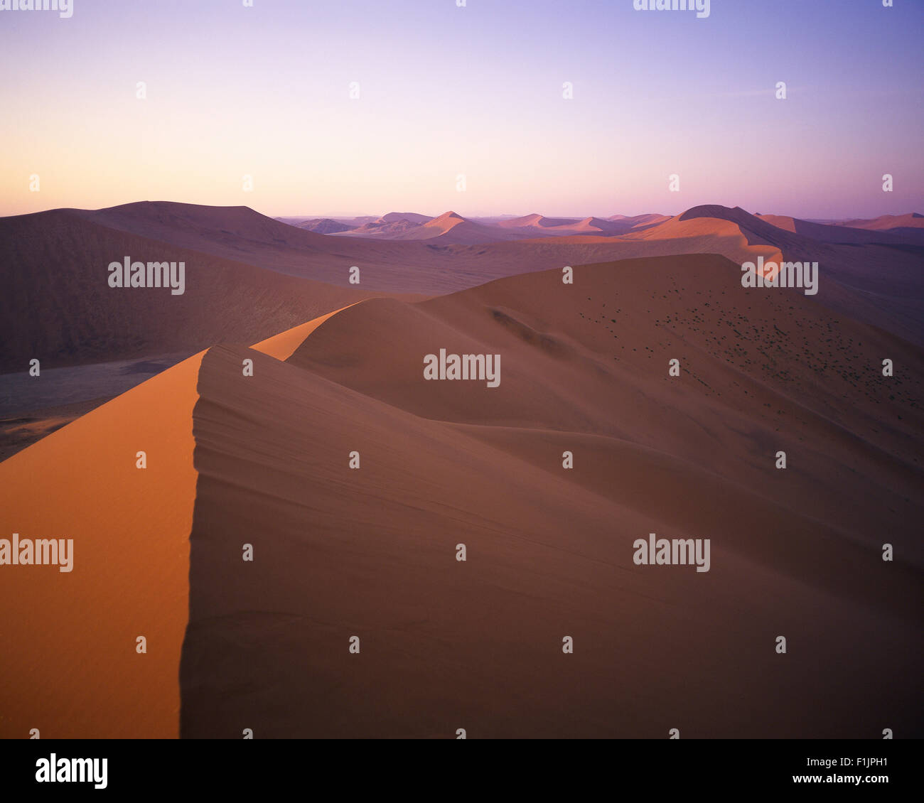Sommaire des dunes du désert du Namib Naukluft Park, Sossusvlei, Namibie, Afrique Banque D'Images