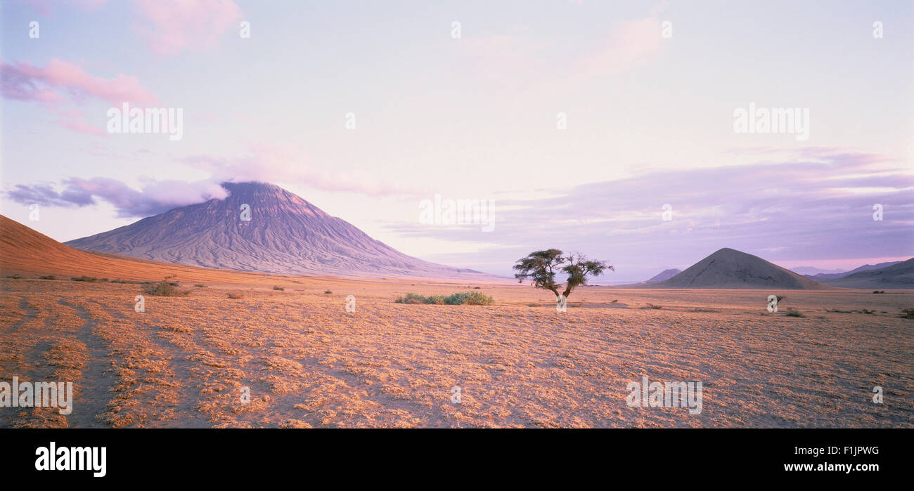 El Donyo Lengai le lac Natron, en Tanzanie, l'Afrique Banque D'Images