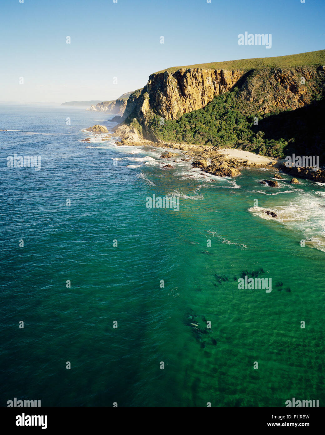 Le parc national de Tsitsikamma Coastal Eastern Cape, Afrique du Sud Banque D'Images