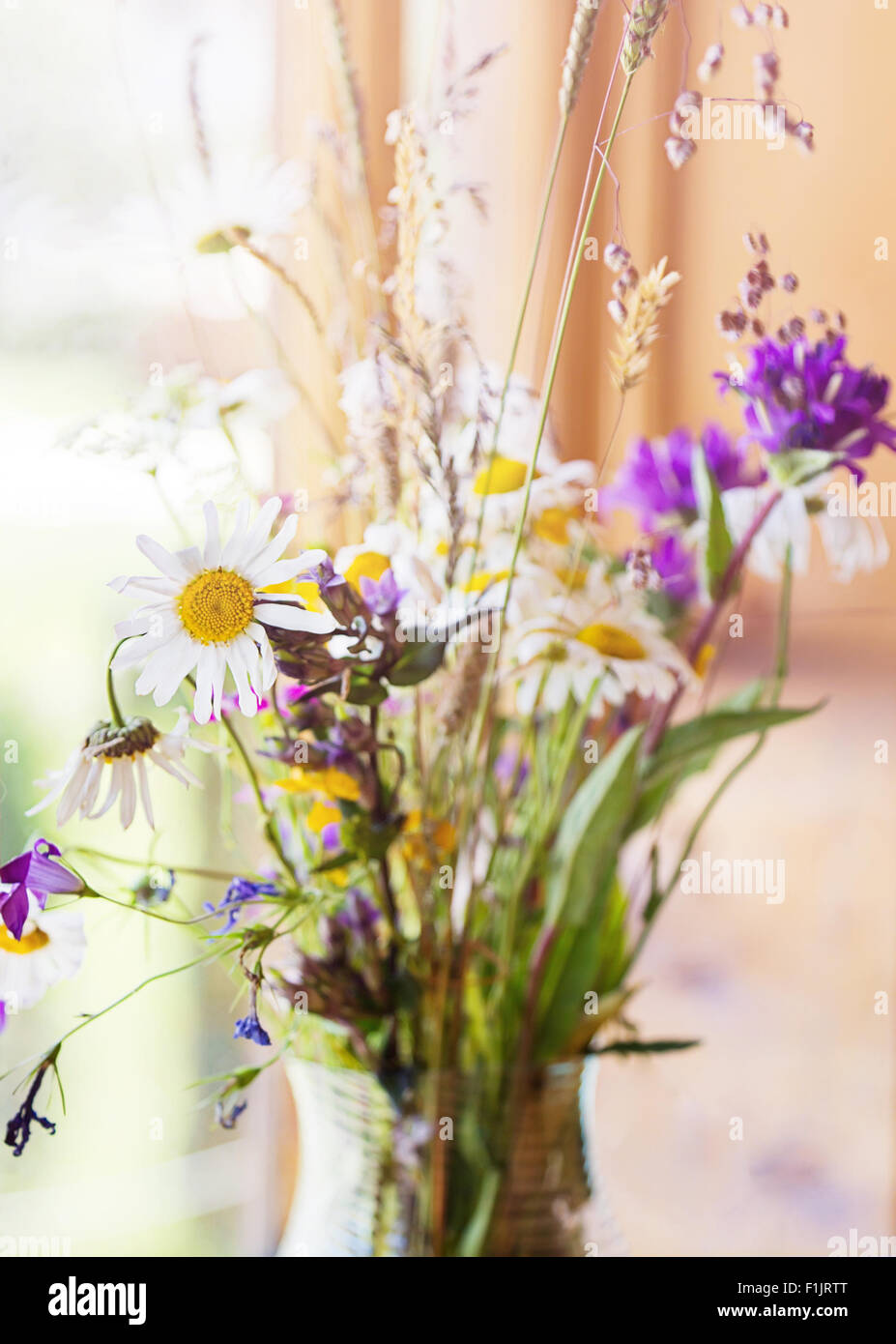 Bouquet de fleurs sauvages d'été sur une fenêtre Banque D'Images