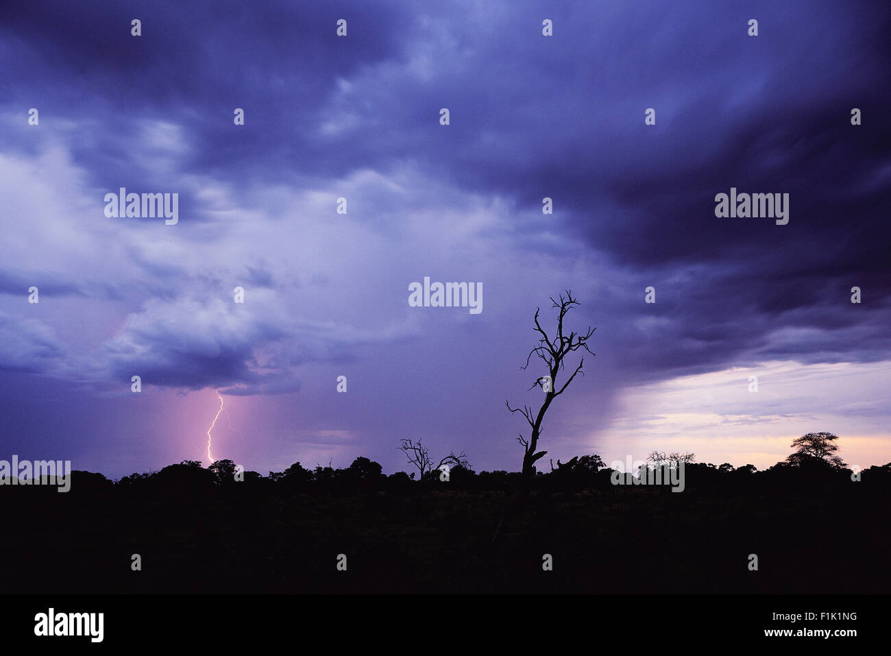 La foudre dans le ciel de nuit Banque D'Images