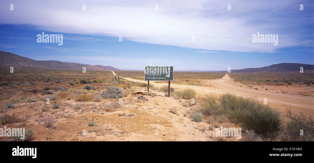 Le Namaqualand, Northern Cape, Afrique du Sud Banque D'Images