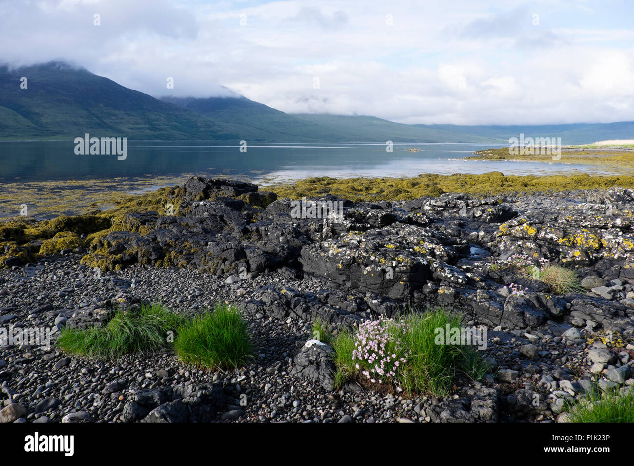 Loch na Keal Isle of Mull Ecosse, Royaume-Uni LA007544 Banque D'Images
