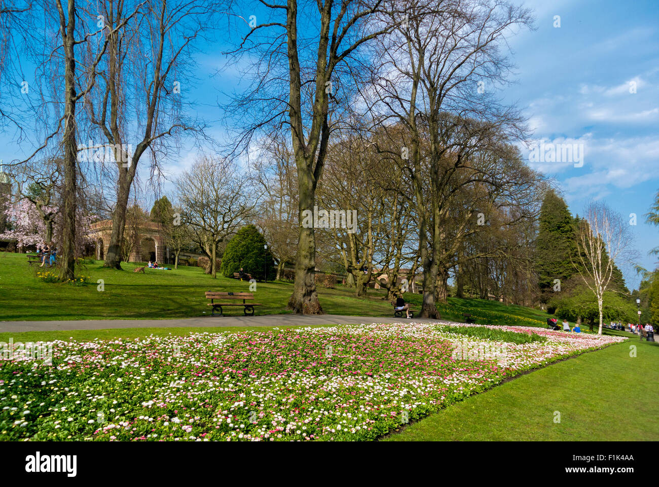 Parterres de printemps dans la Vallée des jardins, Harrogate Banque D'Images