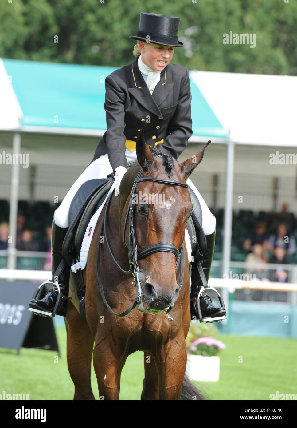 Stamford, au Royaume-Uni. 3 Septembre, 2015. Land Rover Burghley Horse Trials 2015 Stamford, Angleterre. Rosalind Canter (GBR) équitation Allstar B au cours de la phase de dressage (jour 1 de 2) Credit : Julie Priestley/Alamy Live News Banque D'Images