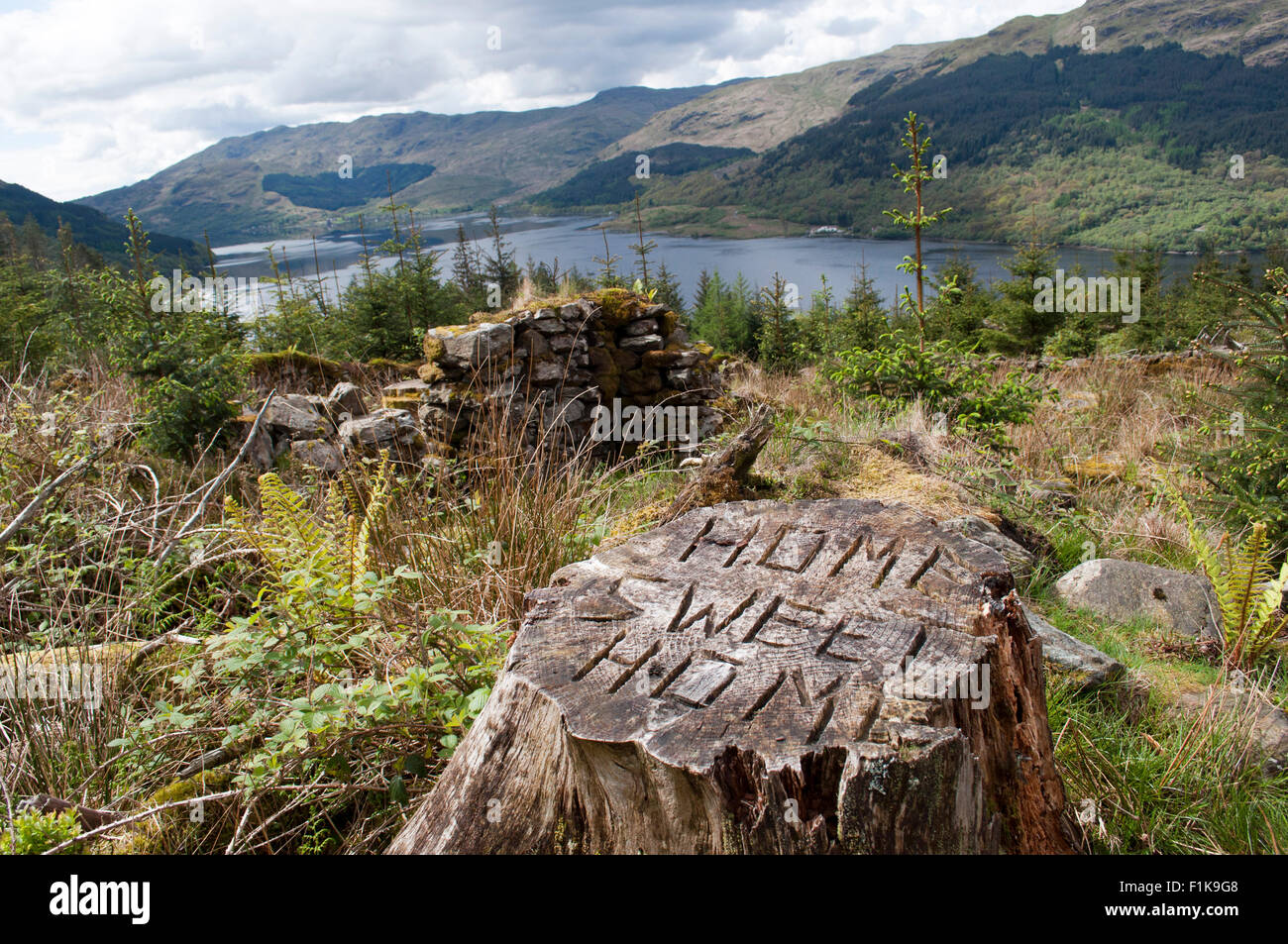 Lac dans la distance et tronc d'arbre avec home sweet home gravé Banque D'Images