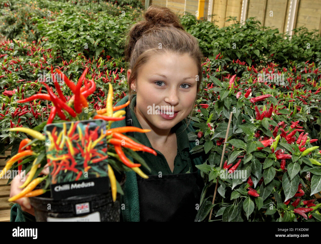 Les Millets ferme, Oxfordshire, UKEmily Potter de Milletts Farm dans l'Oxfordshire est l'espoir de réchauffer le week-end avec un piment Fiesta. L'événement, qui est gratuit, dispose de la musique traditionnelle mexicaine, dégustations en abondance et plus de 20 variétés de piment Bhut Jolokia, y compris la Naga Dorset & Trinidad Scorpion. L'année dernière, le Fiuesta avait plus de 8 000 visiteurs au cours du week-end : Ric Crédit Mellis/Alamy Live News Banque D'Images