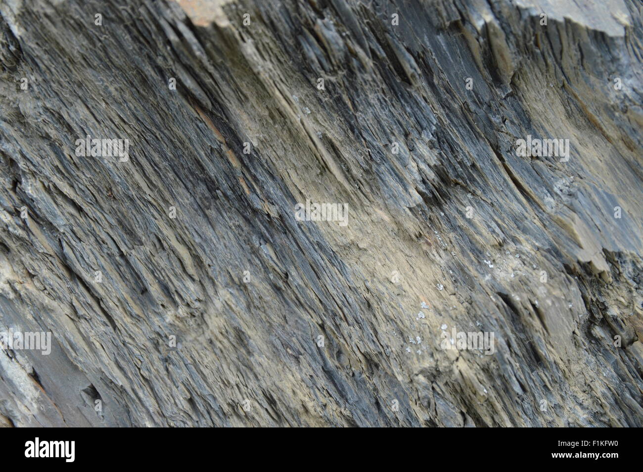 L'ardoise en vallée du Rhin moyen, Allemagne Banque D'Images