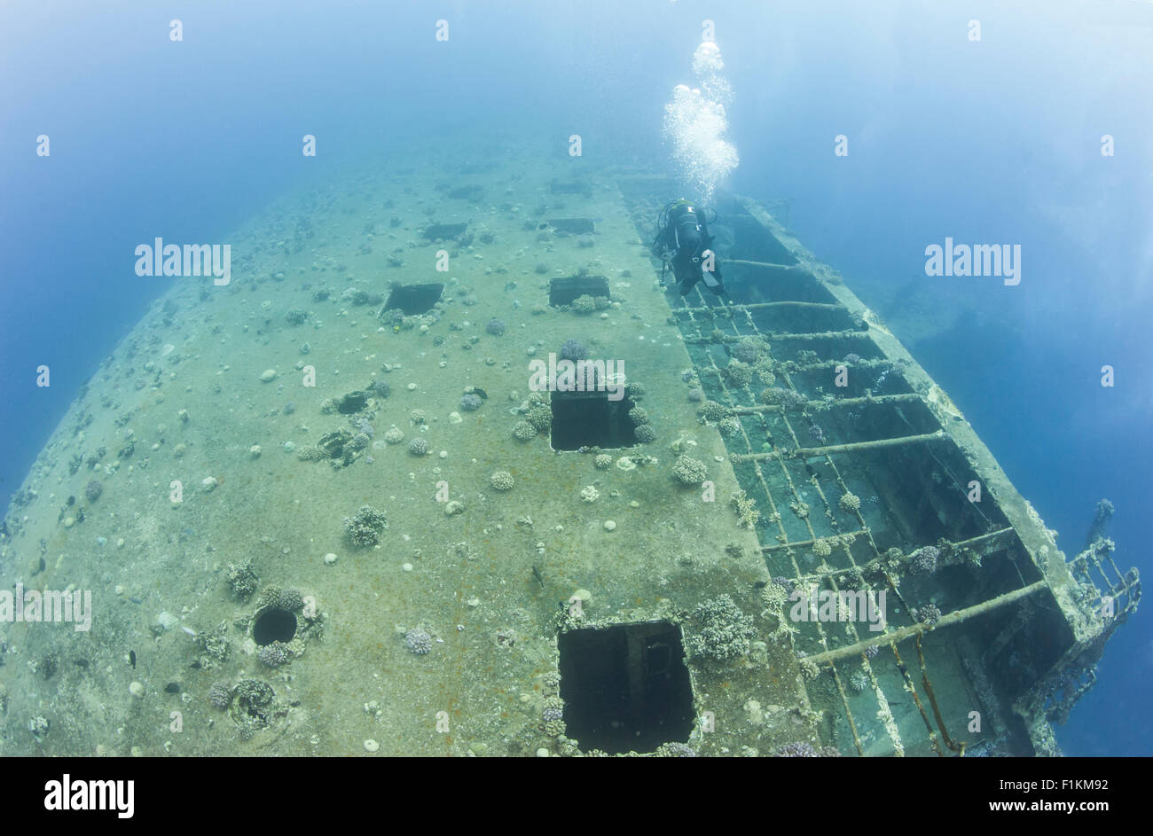 Plongée sous-marine à la découverte d'un grand naufrage ferry sous-marine Banque D'Images