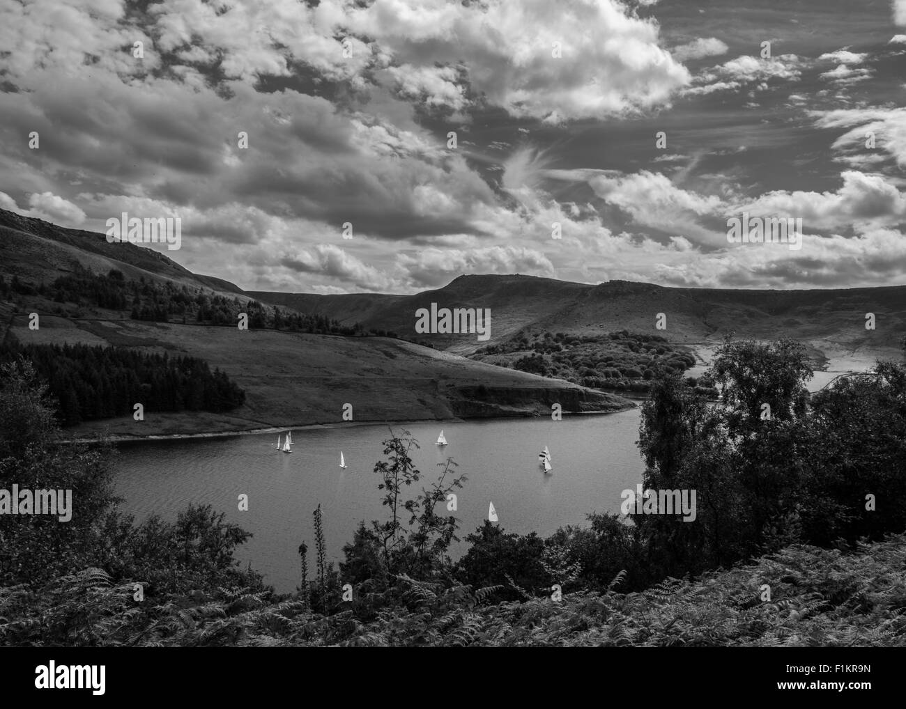 Pierres Dove, le Peak District Banque D'Images