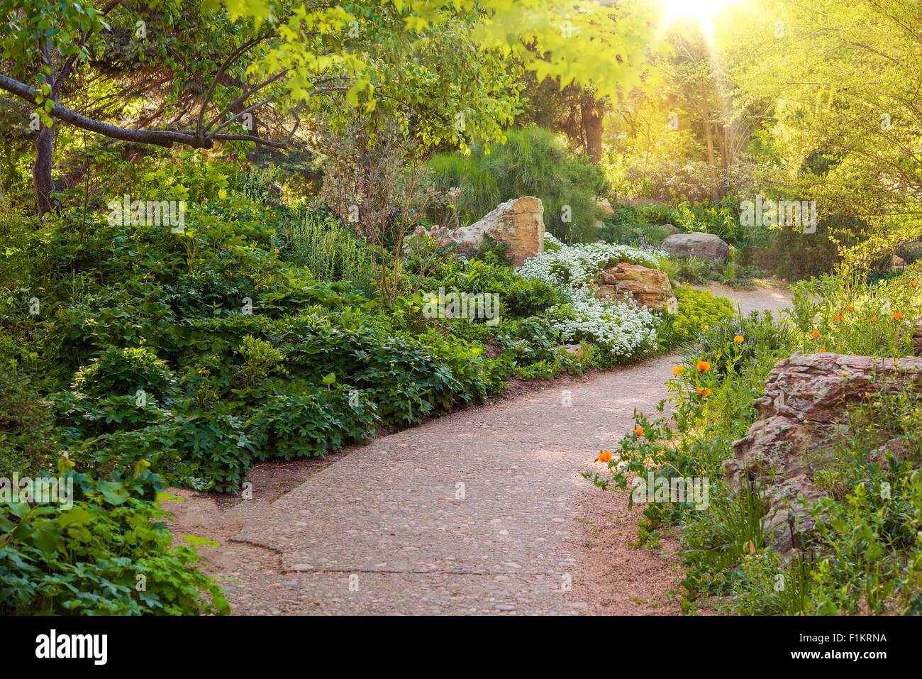 Beau jardin d'été. Beau jardin sentier de marche. Jardinage en été. Banque D'Images