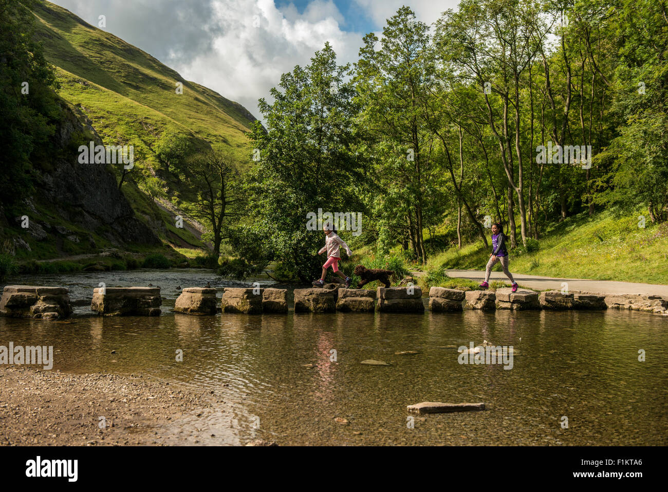 Kids crossing Stepping Stones avec le chien de la famille, Peak District, UK Banque D'Images