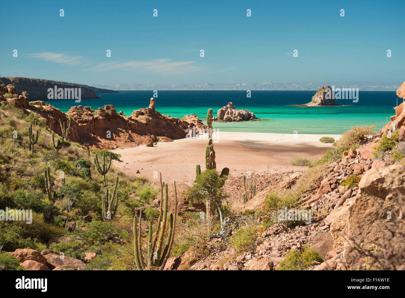 Mexique, Baja, Lapaz, Espiritu Santo. Cactus en premier plan, de l'eau dans le fond. Banque D'Images