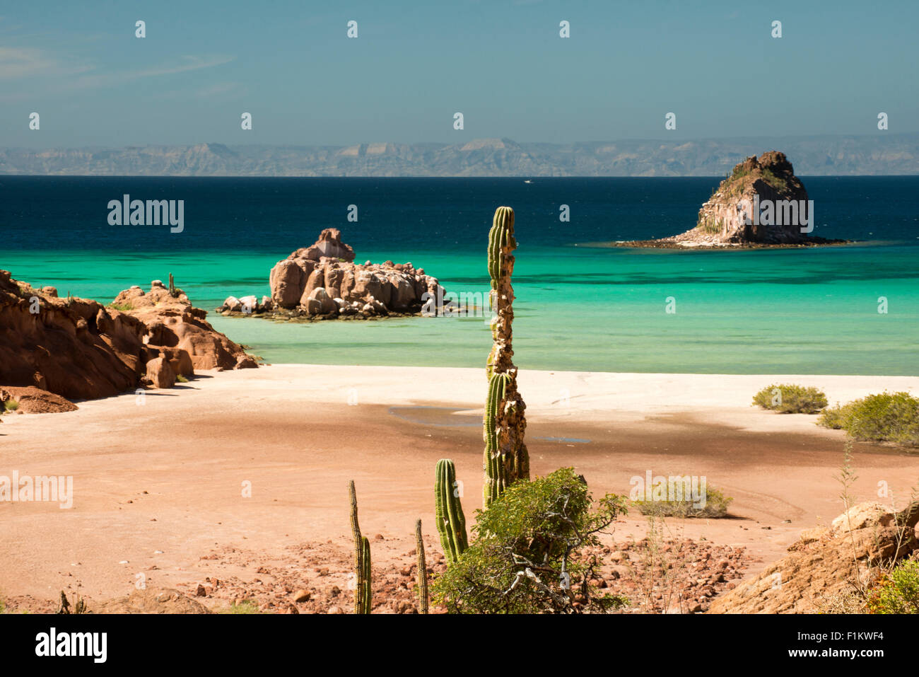 Mexique, Baja, Lapaz, Espiritu Santo. Cactus en premier plan, de l'eau dans le fond. Banque D'Images